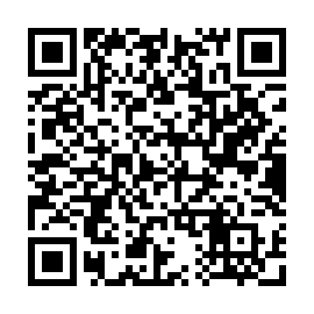 QR code for 311QLR