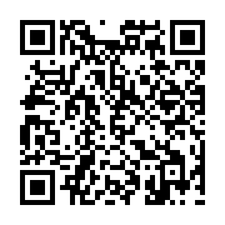 QR code for 311RTI