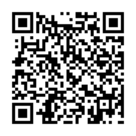 QR code for 311X38