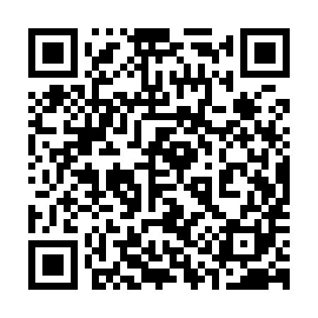 QR code for 311Y81