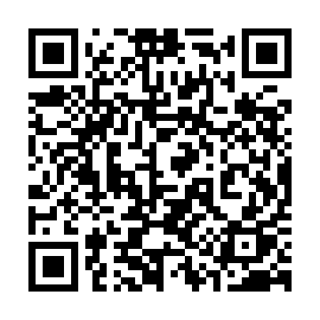 QR code for 311YAP