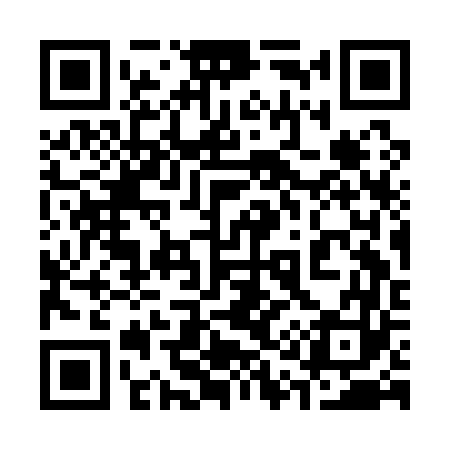 QR code for 313A63
