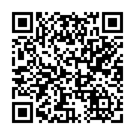 QR code for 313C55