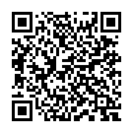 QR code for 313DAB