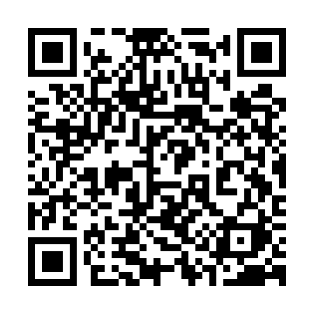 QR code for 313ERI