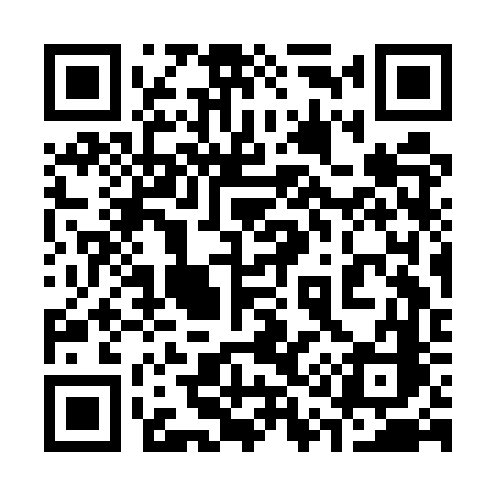 QR code for 313EVC