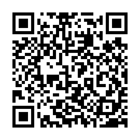 QR code for 313F98