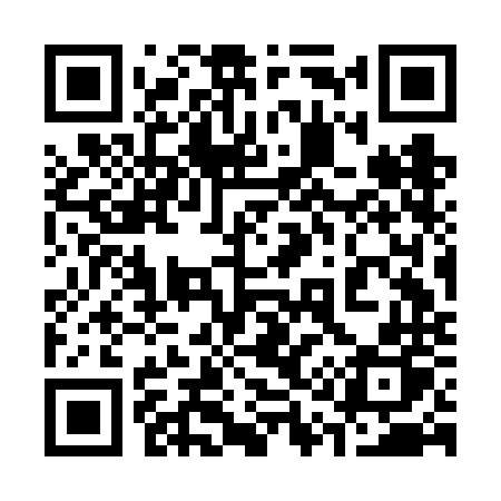 QR code for 313FNP