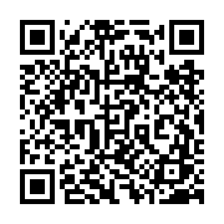QR code for 313GFS