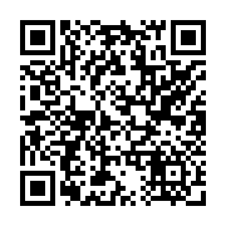 QR code for 313H37