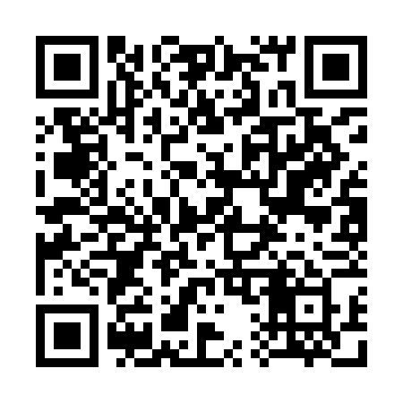 QR code for 313IFY