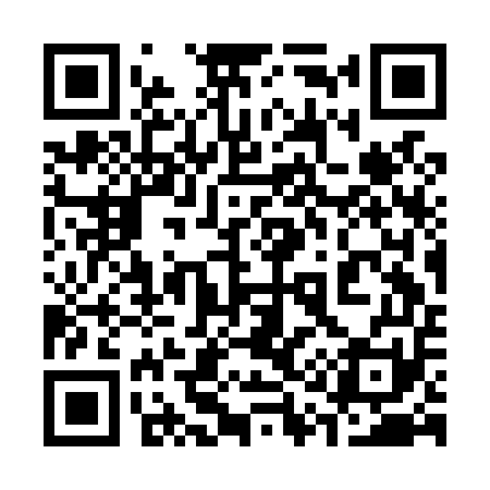 QR code for 313L51