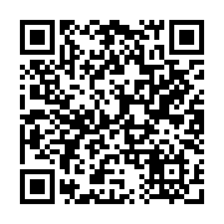QR code for 313LIN