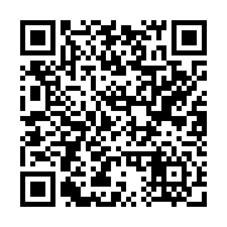 QR code for 313O46