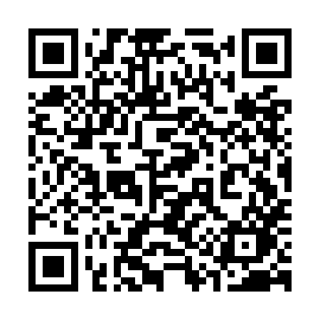QR code for 313OHO