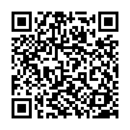QR code for 313ORK