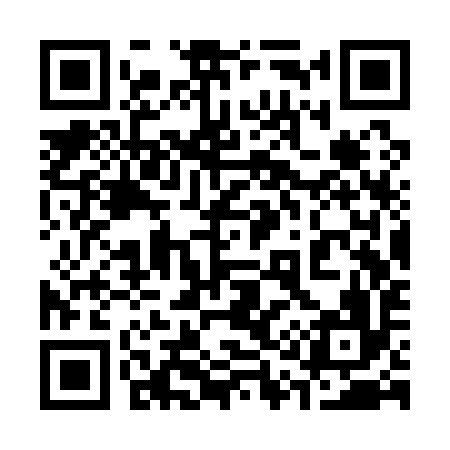 QR code for 313Q96