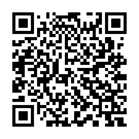 QR code for 313QNN