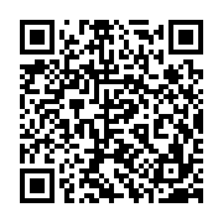 QR code for 313S36