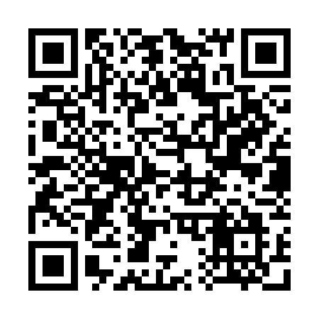 QR code for 313SGO