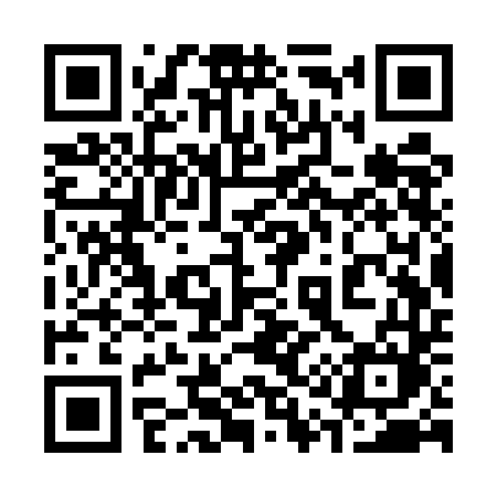 QR code for 313UDM