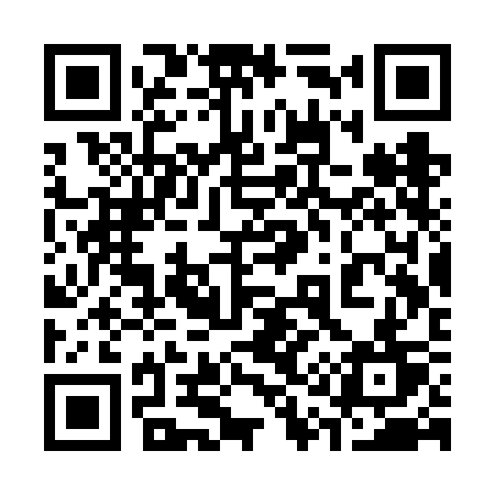 QR code for 313VCT