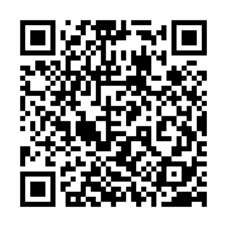 QR code for 313X78