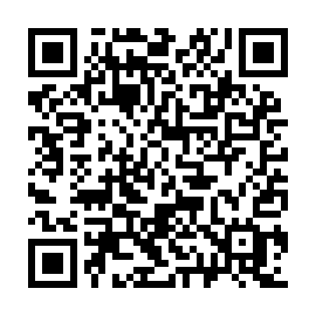 QR code for 313YAG