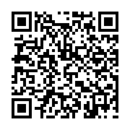QR code for 313YAR