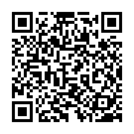 QR code for 313Z29