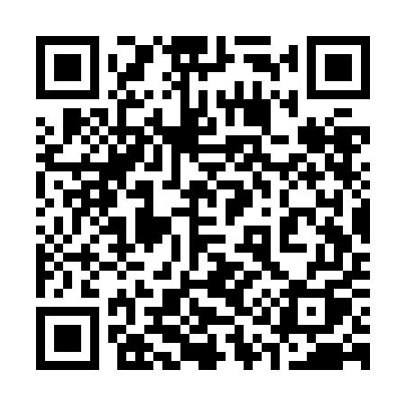 QR code for 313ZEQ