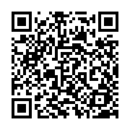 QR code for 313ZZJ