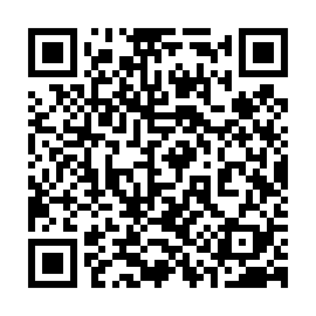QR code for 316T29