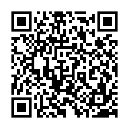QR code for 317O36