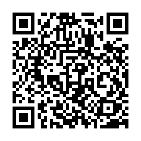 QR code for 319IIX