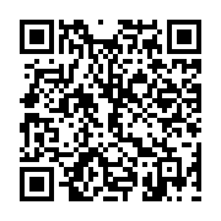 QR code for 319IRE