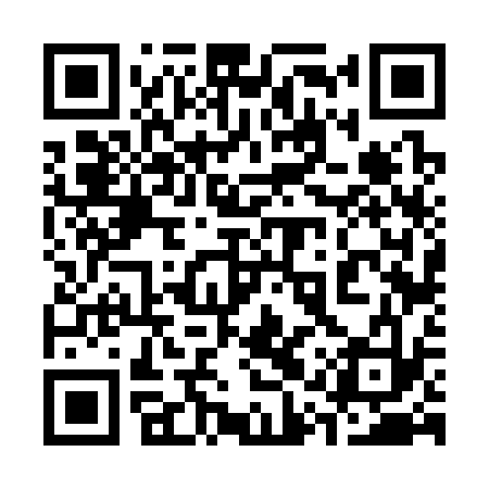 QR code for 31V333