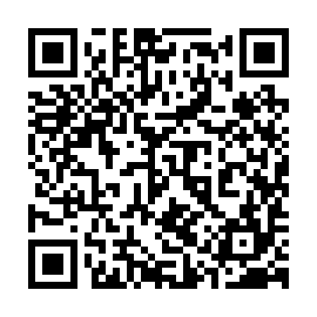 QR code for 31Y294
