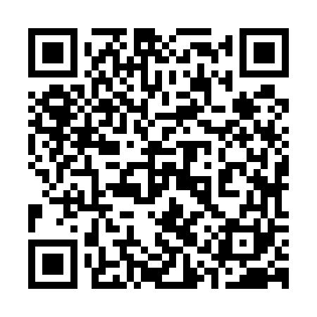 QR code for 31Z561