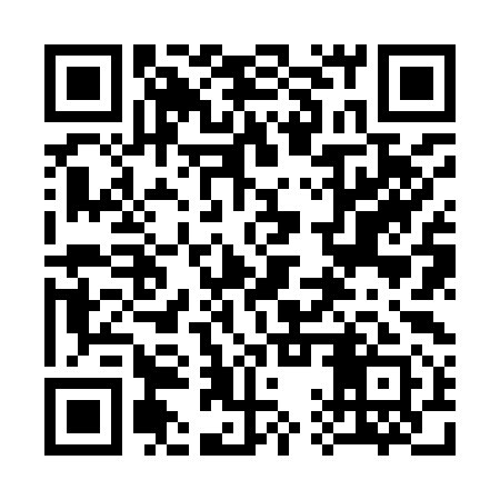 QR code for 31Z991