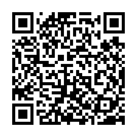 QR code for 321V29