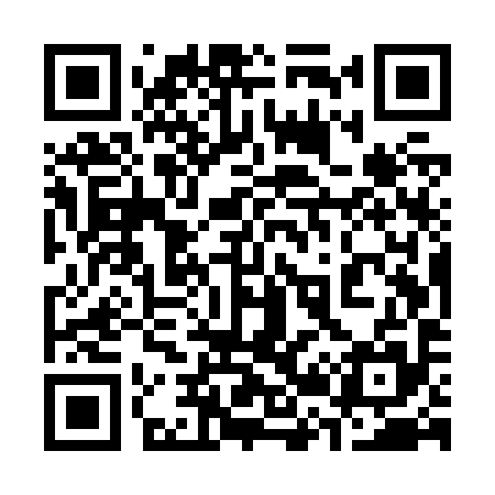 QR code for 325Z95