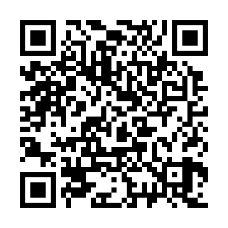 QR code for 331C29