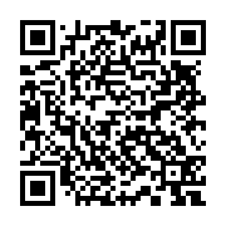 QR code for 331N33