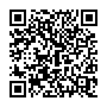 QR code for 333BIB