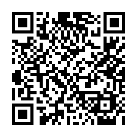 QR code for 333DUC