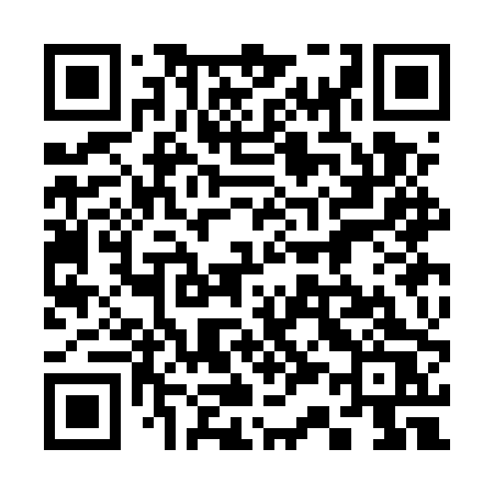 QR code for 333EPS