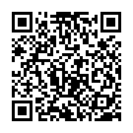 QR code for 333M79