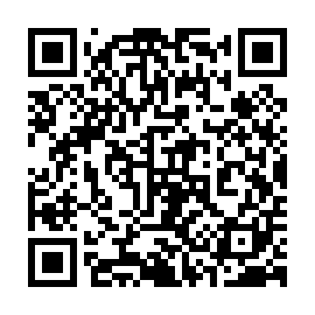 QR code for 333P01