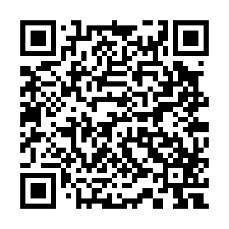 QR code for 333P87